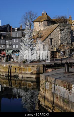 Am Eingang zum Vieux Bassin steht ein weißer Weihnachtsbaum, der in den 1680er Jahren als neuer Hafen für den historischen Hafen von Honfleur in Calvados, Normandie, Frankreich begann. Dahinter befindet sich die Lieutenance, eine Gruppe von Gebäuden, die die ehemalige Residenz des Königs Lieutenant und letzte Überreste der mittelalterlichen Stadtmauern, die im 13. Und 14. Jahrhundert zur Verteidigung Honfleur gebaut wurden, enthalten. Dazu gehören Reste der Porte de Caen, eines der beiden mittelalterlichen Stadttore. Der andere Eingang, die Porte de Rouen, wurde im 17. Jahrhundert mit den übrigen Befestigungsanlagen abgerissen. Stockfoto