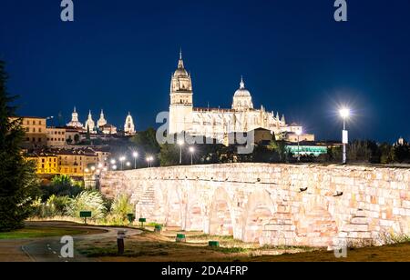 Die neue Kathedrale und die römische Brücke in Salamanca, Spanien Stockfoto