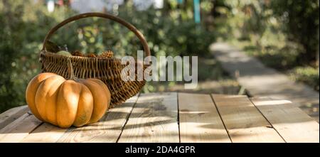 Festliche Herbstdekor aus Kürbissen, auf Holzhintergrund. Konzept von Thanksgiving Tag oder Halloween. Flach Lay Herbstkomposition mit Kopierraum. Stockfoto