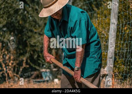 Älterer Mann in Strohhut und hellblauem langen Hemd Pflügen von Hand auf dem Feld mit einer Pitchfork Stockfoto