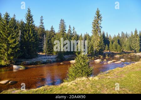 Izera River Valley an einem frühen sonnigen Morgen, Polen. Stockfoto