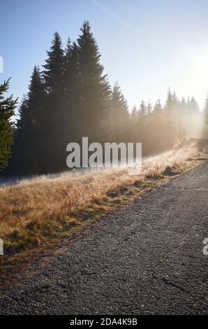 Straße in Izera Gebirge Wald bei Sonnenaufgang, Polen. Stockfoto