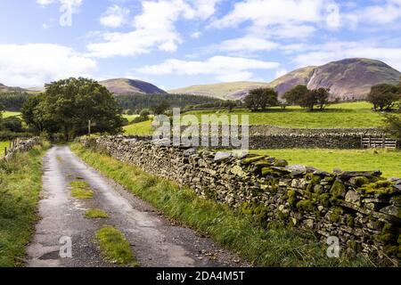 Eine wenig genutzte Gasse zwischen Trockensteinmauern, die nach Loweswater schauen, fiel im englischen Lake District in der Nähe von Loweswater, Cumbria UK Stockfoto