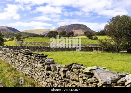 Eine wenig genutzte Gasse zwischen Trockensteinmauern, die nach Loweswater schauen, fiel im englischen Lake District in der Nähe von Loweswater, Cumbria UK Stockfoto