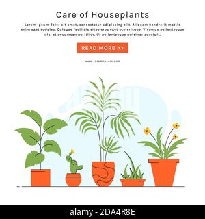 Hauspflanzenpflege Banner mit Platz für Text. Zimmerpflanzen in Töpfen. Vektor-Illustration im trendigen Stil. Stock Vektor