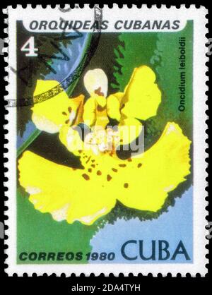 Sankt Petersburg, Russland - 18. September 2020: Briefmarke gedruckt in Kuba mit dem Bild des Oncidium leiboldii, um 1980 Stockfoto