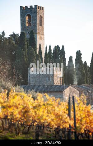 Die historische Benediktinerabtei Badia a Passignano. Glockenturm im Hintergrund. Herbstlaub Landschaft, mit Weinberg im Vordergrund. Stockfoto