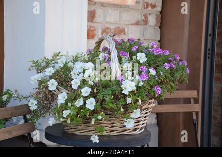 Ein Korb mit leuchtend rosa und roten Blumen hängt am Fenster eines Hauses in einem alten Gebäude in Frankreich, umgeben von schönen Mustern im Stein Stockfoto