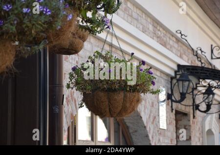 Ein Korb mit leuchtend rosa und roten Blumen hängt am Fenster eines Hauses in einem alten Gebäude in Frankreich, umgeben von schönen Mustern im Stein Stockfoto