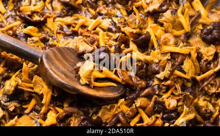 Waldpilze, Winterpfifferlinge (Craterellus tubaeformis) in einer Pfanne im Herbst. Stockfoto