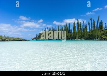 Schöne Meereslandschaft des natürlichen Schwimmbades der Oro Bay, Isle of Pines, Neukaledonien. Aquamarin durchscheinendes Wasser. Stockfoto
