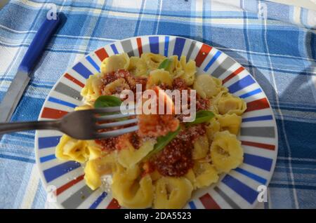 Hausgemachte Tortellini Pasta mit Tomatensauce, Kräutern und Knoblauch, Basilikum in, mit Parmesan-Käse gekrönt Stockfoto