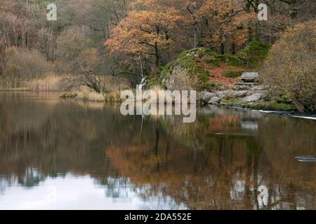 Holzbank in Penny Rock Wood am Ufer des Grasmere Lake, Lake District, Großbritannien Stockfoto