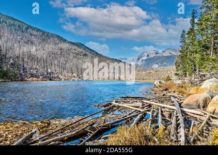 Cub See Ende Oktober im Rocky Mountain National Park, Colorado Stockfoto