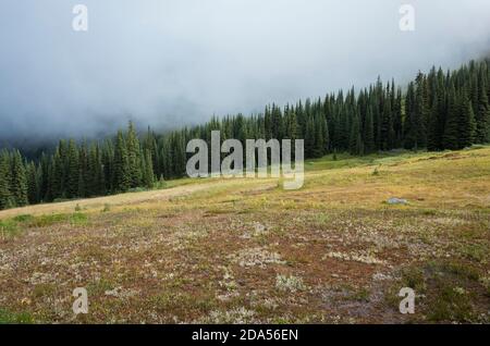 Sturmwolken, die sich über entlegene Bergkette und alpine Wiese am Pacific Crest Trail hinaufziehen Stockfoto