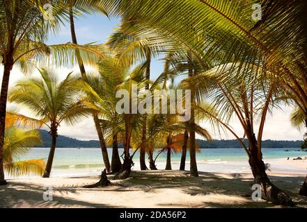 Unberührter, exotischer Strand mit Palmen und weißem Sand auf Isla Ranchería, Coiba Nationalpark (Parque Nacional de Isla Coiba). Panama, Mittelamerika Stockfoto