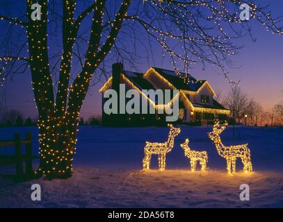 BELEUCHTETE DEKORATIVE HIRSCH UND BAUM AUF SCHNEEBEDECKTEN RASEN MIT HAUS MIT EISZAPFEN LICHTER IM HINTERGRUND / PENNSYLVANIA Stockfoto