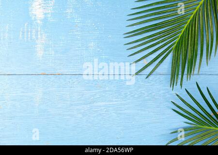 Grüne Palmenblätter flach legen in blauen hölzernen Hintergrund für einen hellen Sommer tropischen Hintergrund. Design-Komposition von oben mit Kopierbereich. Stockfoto