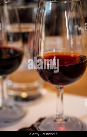 Professionelle Verkostung von verschiedenen angereicherten Dessert Rubin, tawny Portweine in Gläsern in Weinkellern in Porto, Portugal, close up Stockfoto