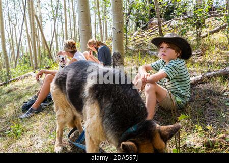 Familie, die in einem Wald von Aspen Bäumen ruht Stockfoto