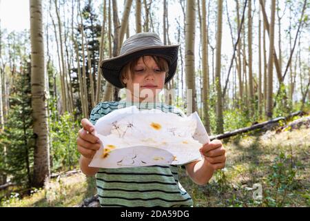 7 year old boy holding treasure map in forest of Aspen trees Stockfoto