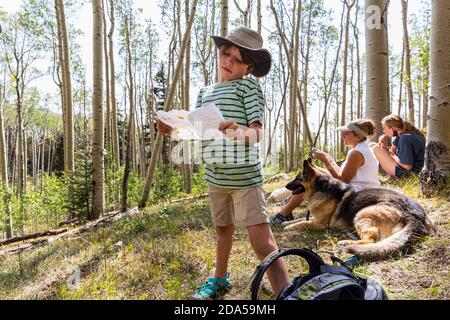 7 year old boy holding treasure map in forest of Aspen trees Stockfoto