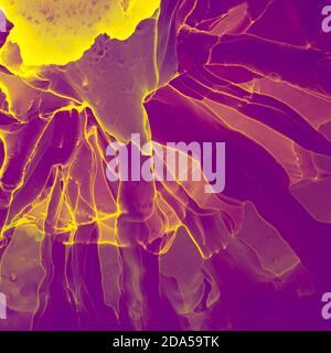 Heller Hintergrund mit Alkoholtinte. Alkoholtinte Farben transluzent Nahaufnahme des Gemäldes. Fluss Flüssigkeit Aquarell Farbe Spritz Textur Effekt Illustration. Stockfoto