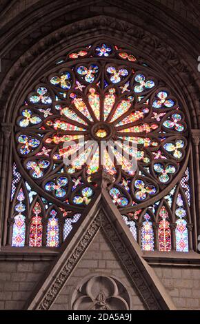 Rosenfenster der Basilika des Nationalen Gelübdes, Quito, Ecuador Stockfoto