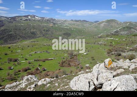 Blick auf grüne Wiese im Nebrodi Park, Sizilien Stockfoto