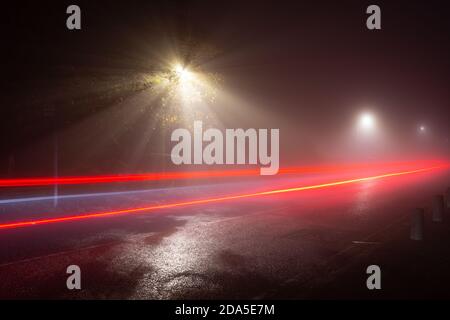 Lichtstrahlen von einer LED-Straßenlampe, die in einer nebligen Nacht durch Blätter leuchtet, mit Lichtspuren von einem vorbeifahrenden Auto, England Stockfoto