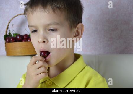 Ein kleiner Junge nimmt mit der linken Hand ein paar Kirschen von einem Bsket, Nahaufnahme Stockfoto