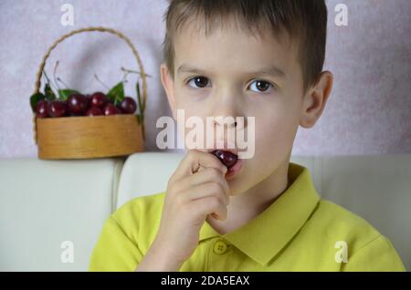 Ein kleiner Junge nimmt mit der linken Hand ein paar Kirschen von einem Bsket, Nahaufnahme Stockfoto