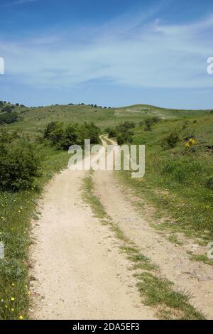 Kurvenreiche Feldstraße in Berg von Nebrodi Park, Sizilien Stockfoto