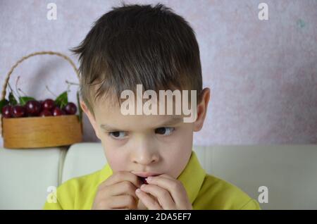 Ein kleiner Junge nimmt mit der linken Hand ein paar Kirschen von einem Bsket, Nahaufnahme Stockfoto