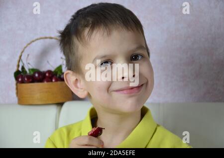 Ein kleiner Junge nimmt mit der linken Hand ein paar Kirschen von einem Bsket, Nahaufnahme Stockfoto