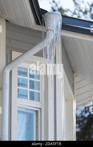 Eis Stalaktit hängen vom Dach mit Holzwand. Gebäude mit großen Eiszapfen bedeckt. Stockfoto