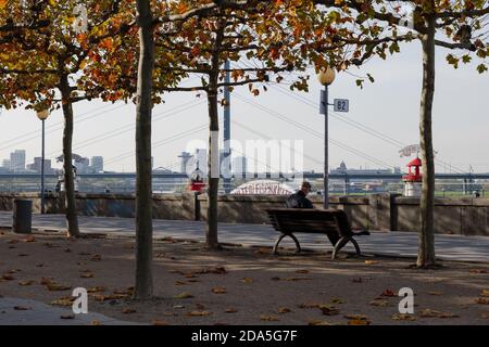 Sonnenblick im Freien, Ältester sitzt allein auf der Bank an der Rheinuferpromenade am Rheinufer in Düsseldorf, Deutschland im Herbst. Stockfoto