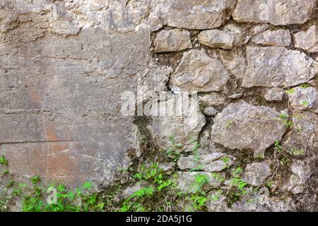 Die alte Wand aus Kopfsteinpflaster ist mit Pflanzen bedeckt Stockfoto