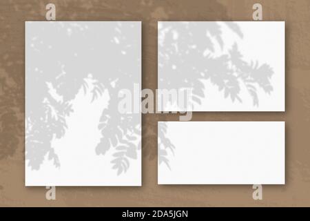 Mehrere horizontale und vertikale Blätter aus weißem strukturiertem Papier vor einem braunen Wandhintergrund. Mockup mit einer Überlagerung von Pflanzenschatten. Tageslicht Stockfoto