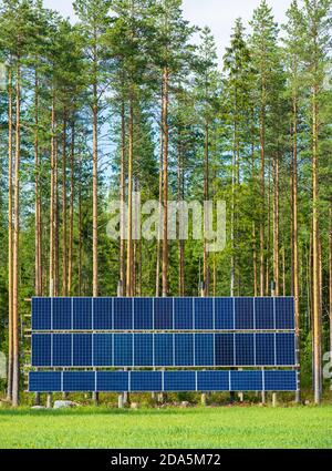 Sonnenkollektoren am Waldrand im Sommer, Finnland Stockfoto