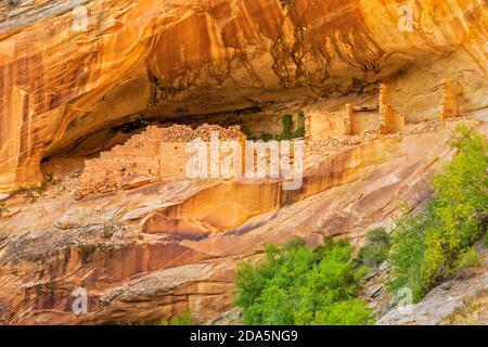 Gut erhaltenes Monarch Cave Cliff-Wohnhaus am Comb Ridge bei Butler Wash in Bears Ears National Monument liegt im Südosten Utahs. Stockfoto