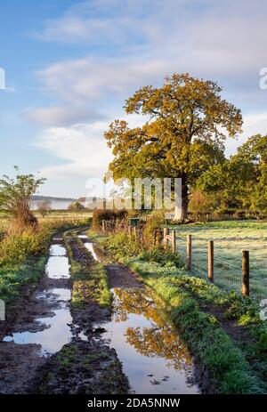 Country Lane in der Landschaft von buckinghamshire in der Nähe von hambleden im Herbst. Hambleden, Buckinghamshire, England Stockfoto