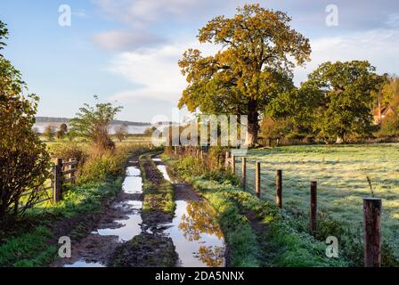 Country Lane in der Landschaft von buckinghamshire in der Nähe von hambleden im Herbst. Hambleden, Buckinghamshire, England Stockfoto