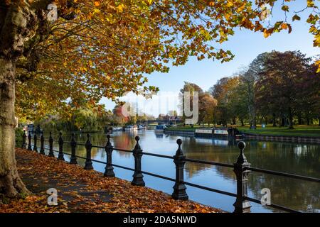 Herbstbäume entlang St Helens Wharf im frühen Morgenlicht. Abingdon on Thames, Oxfordshire, England Stockfoto
