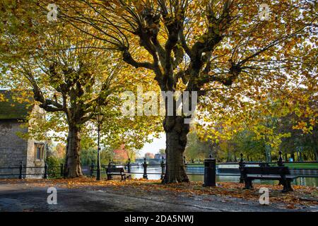 Herbstbäume entlang St Helens Wharf im frühen Morgenlicht. Abingdon on Thames, Oxfordshire, England Stockfoto