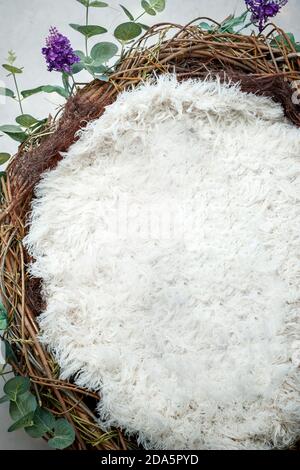 Neugeborene Fotografie digitale Kulisse eines Nestes, flauschige Füllstoff und grüne Blätter und lila Lavendel Stockfoto