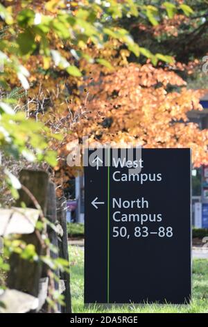 Großes schwarzes Schild, das die Wegbeschreibung zu Gebäuden auf dem Microsoft Redwest Hauptquartier Campus in Redmond, Washington, USA zeigt. Aufgenommen im Herbst. Stockfoto