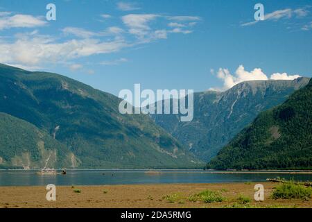 Tiefer See Teletskoe im Altai im Sommer Stockfoto