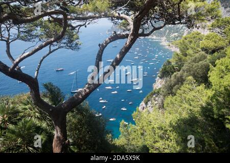 Blick von der Spitze der vielen kleinen Boote im Meer, an einem schönen sonnigen Sommertag. Capri Insel. Stockfoto