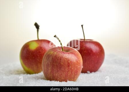 Drei rote Äpfel liegen auf dem Schnee. Obst. Ernte. Stockfoto